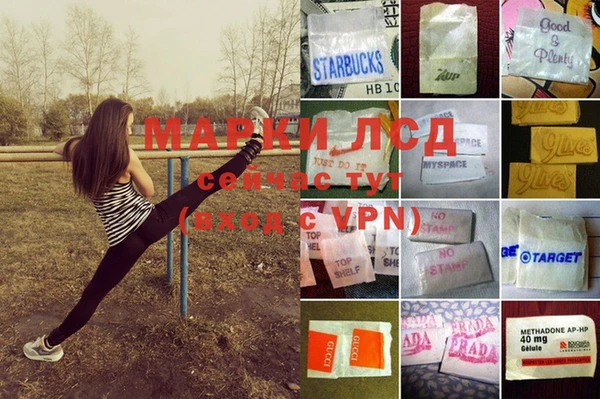 МДПВ Нея